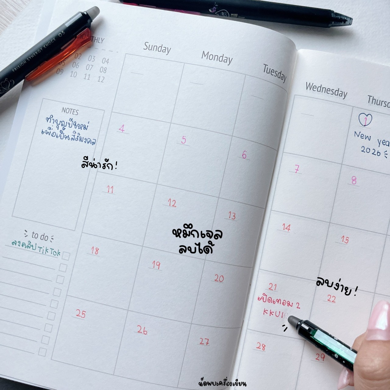 ชุดปากกาลบได้ Pilot Frixion Synergy x Anna sui ของแท้นำเข้าจากญี่ปุ่น